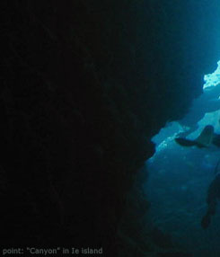CANYON in ie island
