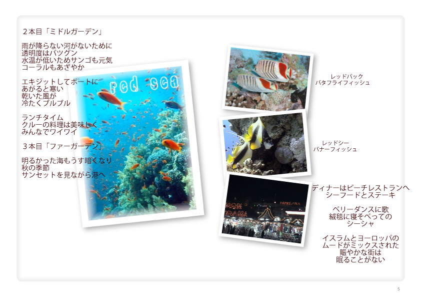 レッドシーダイビング　エジプト　カイロ　観光